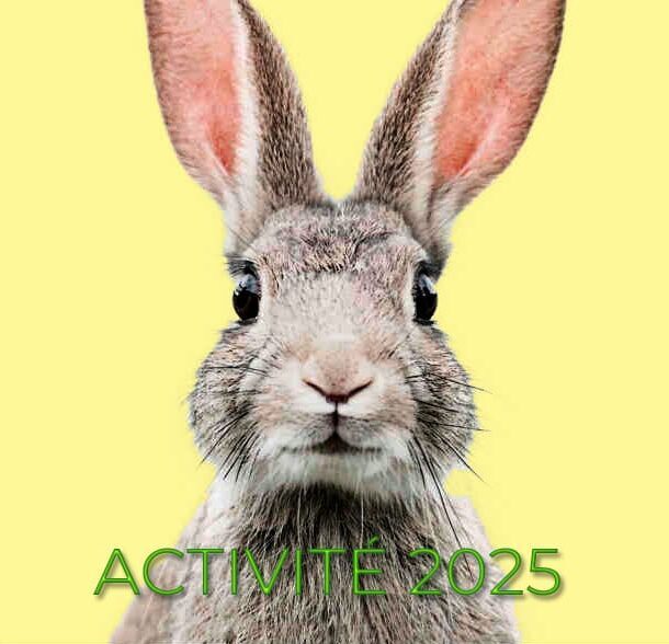 Image Pulperie Pâques 2025